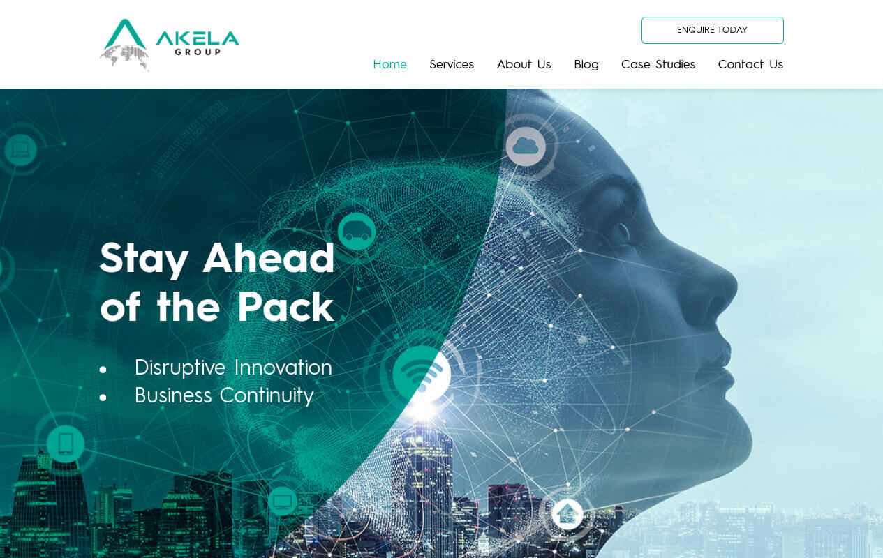 Akela Group website banner by XDesigns Advertising